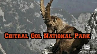 Chitral Gol National Park|chitral gol national park documentary|voice of chitral official