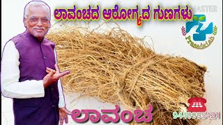 ಲಾವಂಚ ಬೇರಿನ ಉಪಯೋಗಗಳು Uses of vetiver | Ayurveda in kannada, it Reduce Body Heat ದೇಹದ ಉಷ್ಣತೆ ಕಡಿಮೆ