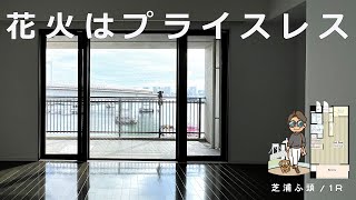 【バルコニーが特等席】打ちあがる花火はプライスレス。夏よ来い。お台場を一望できる圧巻の単身用物件。