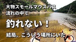 6月上旬、流れの中で大物が釣れない！ 結局、こういう場所にいた【川スモールマウスバス】