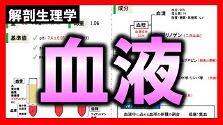 【解剖生理学（循環器系）】血液：リメイクver.