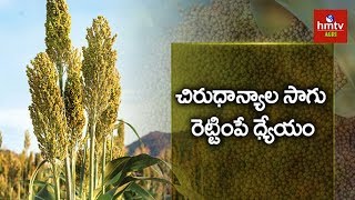 Importance Of Millets | Awareness On Millet Cultivation | hmtv Agri