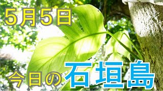 石垣島の海、天気の様子　5月5日