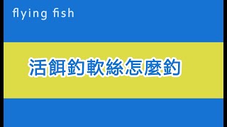 活餌釣軟絲怎麼釣請各位大大教一下，分享些經驗和心得，謝謝大家