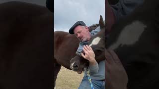 HORSE IN PAIN 😱 CAN'T LOWER HEAD! 🐴  Animal Chiropractor