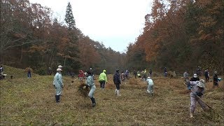 国の天然記念物、鯉が窪湿原で中学生が親子で清掃活動　岡山・新見市