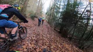 Ext 15, sortie VTT départ Saverne, dimanche 24/11/2024 avec le Cyclo Club Wasselonne et Environs