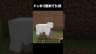 トラップ舐めてた奴 #マイクラ #マインクラフト #minecraft #shorts