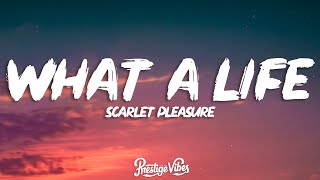 Scarlet Pleasure - What A Life (Lyrics)