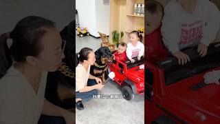 母老虎这招真是以毒攻毒啊！ #一坨 #罗威纳 #罗威纳护卫犬 #rottweiler #pets #funny #萌宠 #向威 #向威和一坨