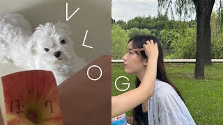 vlog. 더 늦기 전에 올려보는 가을 조각zip🫧 | 양화한강공원 | 북악스카이웨이 | 어린이대공원