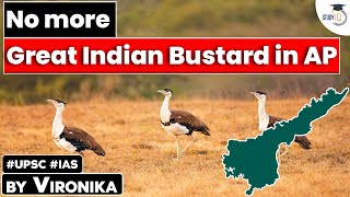 Why did Great Indian bustards completely extinct in Andhra Pradesh? | Explained | Andhra Pradesh PSC