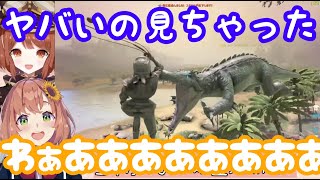 【両視点】本間ひまわりワニに襲われて空を飛ぶwith目撃者ラトナ・プティ【にじさんじ 切り抜き】