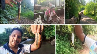 कोकणात गावी जाऊन केली मासेमारी | गुरे | आपली माणस..❤️#कोकण #marathi #nature #kokani #fishing #fish #