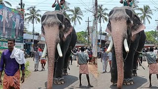 പാപ്പാന്റെ അനുവാദമില്ലാതെ കുഞ്ചുവിനെ തൊട്ടപ്പോൾ☹️|ukkans kunju |chiramanegad pooram 2023