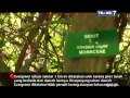 On The Spot - Fakta Unik Taman Nasional Baluran