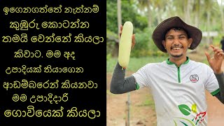 Home gardening, Home gardening, Organic gardening, Organic ,ගෙවතු වගාව ,gewathu wagawa ,kabanika