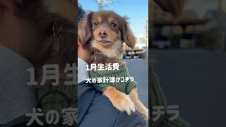 犬の生活費がコチラ🐶💰