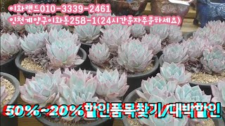 50~20%할인품목찾기/대박할인    이화랜드010-3339-2461