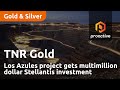 TNR Gold royalty McEwen’s Los Azules copper project gets multimillion dollar Stellantis investment