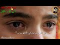 Sindhi Sad WhatsApp Status By Ahmed Mughal