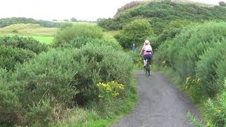 Lochore Meadows Country Park.  Lochgelly, Fife.