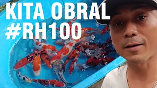 EDISI OBRAL BOLO REVIEW HARGA YANG KE 100