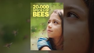 20,000 Species of Bees