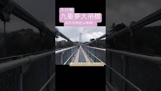 【九重夢大吊橋】