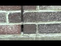 diagnois of brick veneer expansion joint movement
