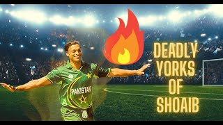 Tribute to Shoaib Akhter | Deadly Yorkers |Tere Baap Aya