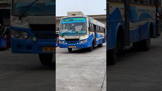 Nagercoil to Tiruppur TNSTC Madurai Special bus for By Pass rider #travel #bus #viral #shortsfeed