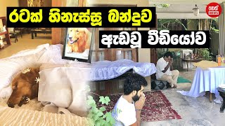 රටක් හිනැස්සූ බන්දුගේ සත්ව ආදරය | Bandu Samarasinghe | Neth News