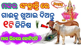 ମକର ସଂକ୍ରାନ୍ତିରେ ଗାଈକୁ ଦିଅନ୍ତୁ ଏହି ଜିନିଷ |  Makara Sankranti 2024  | odia Astrology 2024 | sadu bani