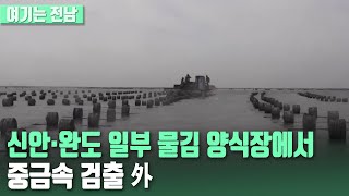 [여기는 전남] 신안·완도 일부 물김 양식장에서 중금속 검출 外 / KBS 220223