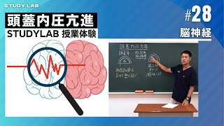 頭蓋内圧亢進 講義体験 オンライン講義看護師国家試験対策｜STUDY LAB #看護学生 #看護師国家試験 #看護師