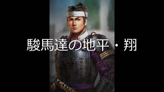 [単曲BGM] 信長の野望・革新 戦略フェーズ 徳川家・小勢力「駿馬達の地平・翔」