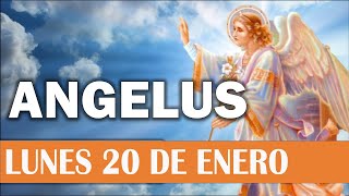 Ángelus del día de Hoy Lunes 20 de Enero 2025 😇🙏😇 Oraciones a la Virgen María 🌸Oraciones Católicas🌸