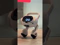 Don't Underestimate LG's Cute Robot for Home Monitoring