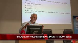 İstilacı balık türlerinin dünyaya zararı 345 milyar dolar 🐡