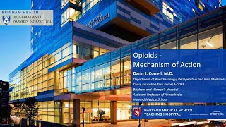 Opioids Mechanism of Action