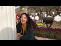 🇰🇷韩国年轻人周末去哪玩 首尔周末好去处 seoul land vlog【dani】