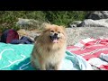 bc livin summer 2018 cascade mountains camping roadtrips