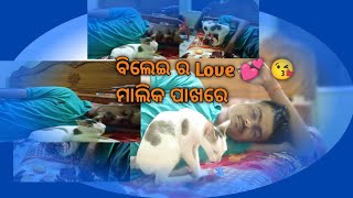 ବିଲେଇ ର Love 💕😘 ମାଲିକ ପାଖରେ || ବିଲେଇ ର ଲାଇଫ ଷ୍ଟାଇଲ 🐱🐾 || କଣ କରୁଛି ବିଲେଇ || #Vlog #Amanvlogs