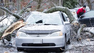 Canada is Freezing! Ice Storm breaks trees and power lines in Montreal, Quebec