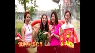 LNY Album 2013 TVC 02 《新传媒群星贺岁  金蛇献祥和》