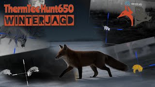 WINTERJAGD|ThermTec Hunt 650|Wildboar|Hunting|Thermal|Keiler