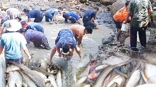 The art of traditional fishing🎣 style|| Family catching fish 🐠 on New Year's Eve.