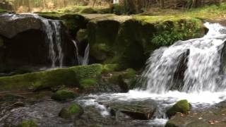 鹿児島　永田川　川口の小滝