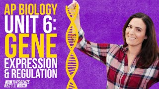 AP Biology Unit 6: Gene Expression and Regulation Summary